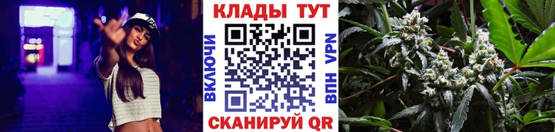 Галлюциногенные грибы Кропоткин