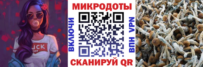 Галлюциногенные грибы GOLDEN TEACHER  купить наркотик  Кропоткин 